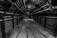Zeche-Zollverein-Bergbaumuseum-Bochum-_I9A3531-106-Bearbeitet-17