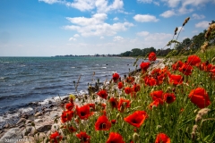 054-Groemitz-2021_MG_7165
