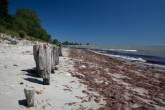 158-Groemitz-2020_MG_6437