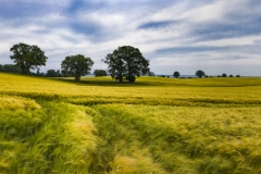 270-Groemitz-2020_MG_6549-Panorama-2