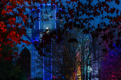 014-Herbstleuchten-Maxipark_I9A3579