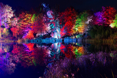 035-Herbstleuchten-Maxipark_I9A3600