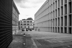 IMG_9831