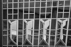 IMG_9899