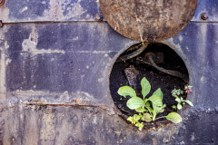 Januar-2026-Rost-und-Schrott-5